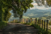 Weg vom Pfänder nach Bregenz/Vorarlberg