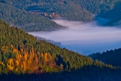 Buhlbachtal