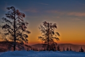 Winter an der Schwarzwaldhochstrasse