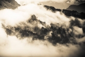 Tom_Nebel