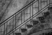 STEP