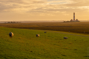 Westerhever_1